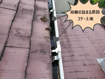 雨樋詰まり　コケ　土埃